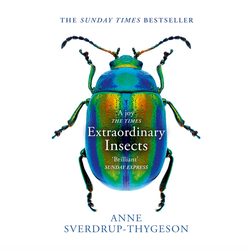 Extraordinary Insects | Anne Sverdrup-Thygeson